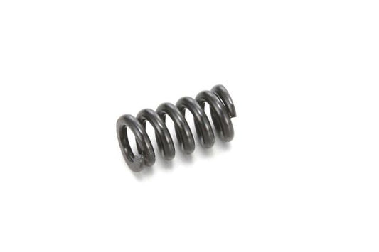 Kyosho ZX5/RT5 Slipper Spring