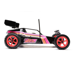 1/16 mini JRX2 2WD Buggy Brushed RTR Black by LOSI