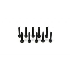 Cap Head Screws, M3 x 16mm (10)